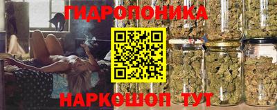 гидра Старая Купавна