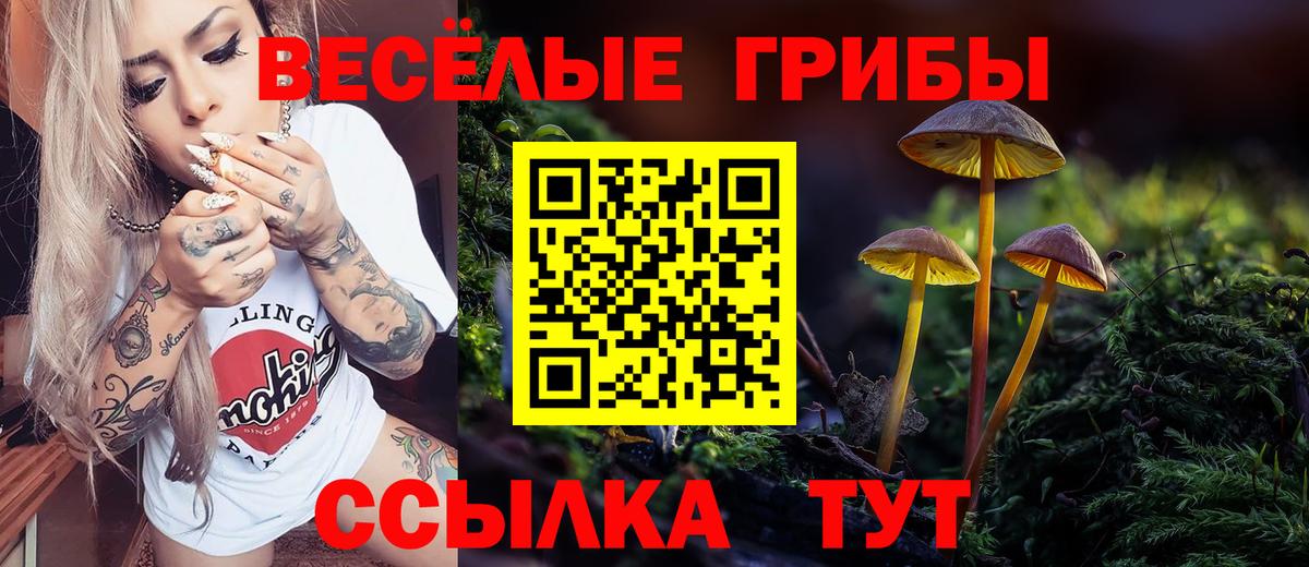 Мариинск  Псилоцибиновые грибы ЛСД  Псилоцибиновые грибы прущие грибы  Вход с VPN 